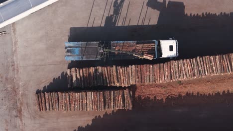 truck crane unloading logs at the sawmill