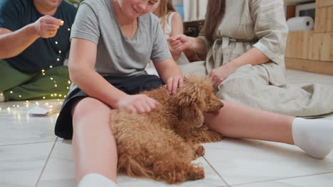 little boy playing with dog while parents and siblings arrange christmas lights, family in casual wear enjoying the holiday season together, creating memories at home