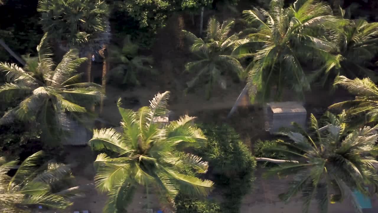 나무 가 있는 열대 해변 휴양지