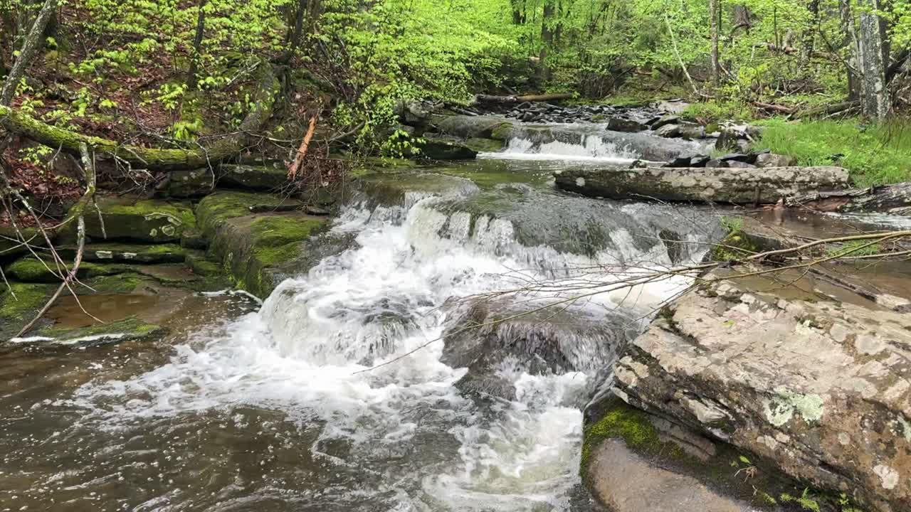 slow motion of a stunning woodland stream with little waterfalls in a lush, green forest in the Appalachian mountains