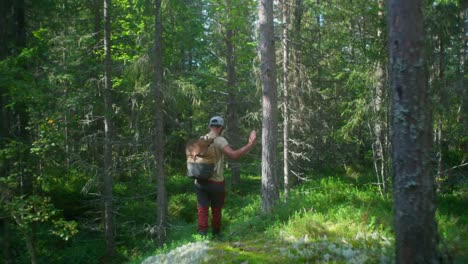 Hiker-walking-through-the-woods-with-the-sun-shining-through-the-trees