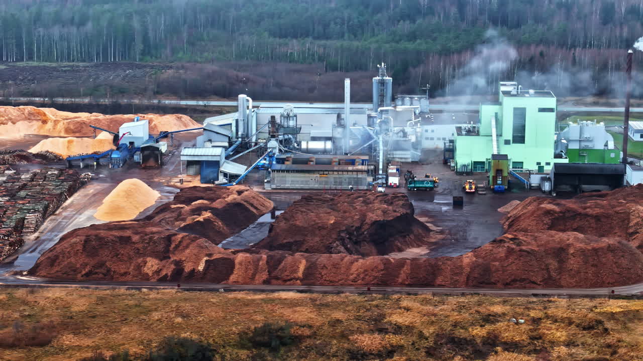 wood industry pruning trees in forest with mountains of logs and wood and machinery