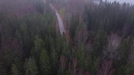 rising drone from foggy forest to heavy mist higher up