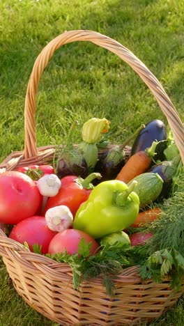 basket of fresh vegetables from the garden