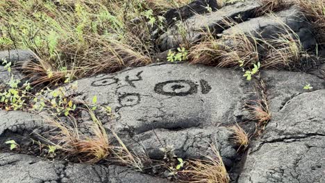 medium shot of lava rock carvings in hawaii's volcanoes national park