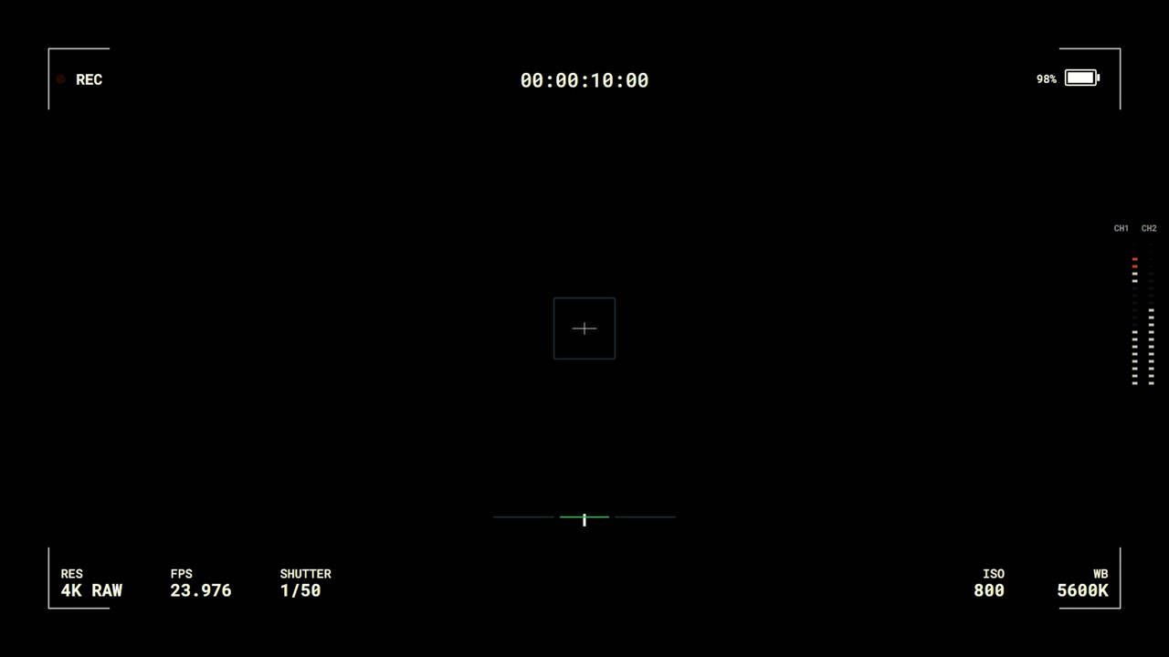Digital Camera Recording Interface Overlay