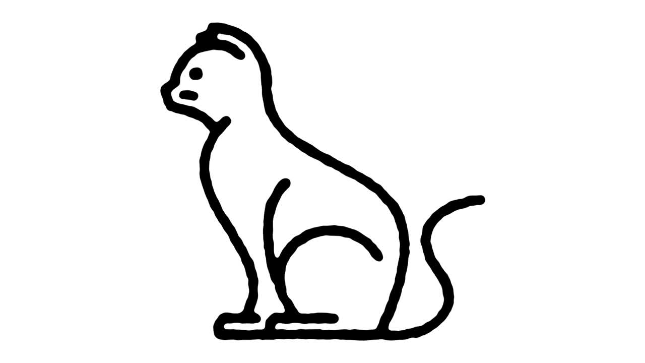 Domestic Cat Sketch Line Icon Animation
