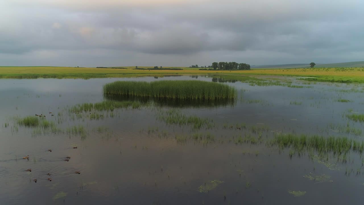 오리 들 이 수영 하고 있는 조용 한 호수 의 공중 풍경