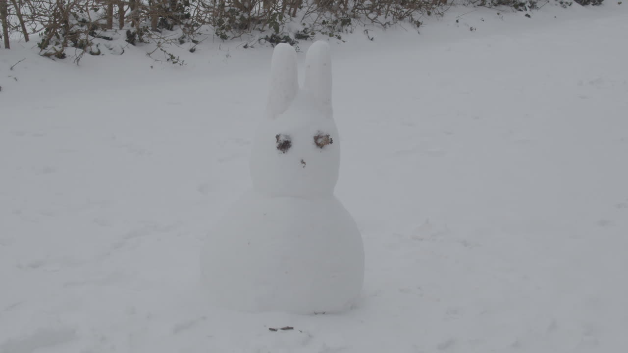 Dolly out of bunny shaped snow man in winter