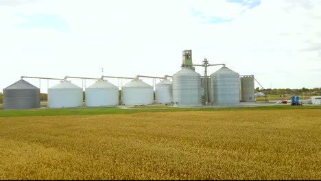 grain elevator accepting grain during a fall harvest day