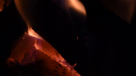 close-up of burning wood in a fireplace