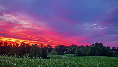 Zeitraffer-Von-Wolken,-Die-Sich-Bei-Sonnenuntergang-Am-Farbenfrohen-Himmel-In-Einer-Ländlichen-Landschaft-Mit-Bäumen-Im-Hintergrund-Und-Löwenzahn-Im-Vordergrund-Bewegen