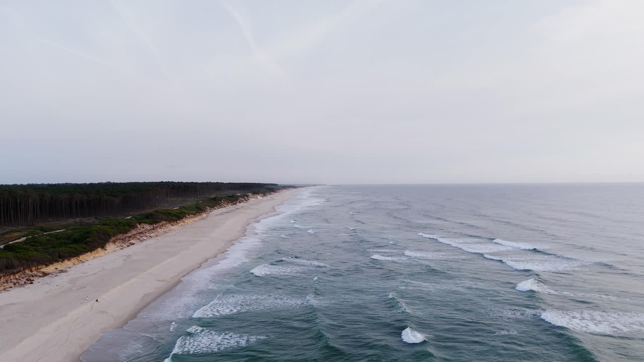 aerial - expansive empty beach at São Pedro de Maceda in Ovar Portugal with forest line