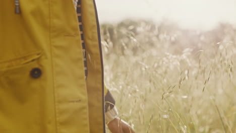 freedom, nature and hands of woman in countryside