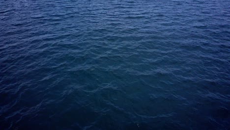 dark blue water surface