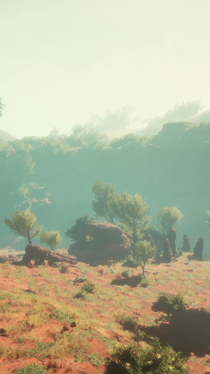 paisaje sereno con rocas y árboles