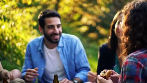 amigos disfrutando de un picnic en el parque