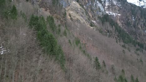 Klöntalersee-Suiza-Glarus-Vuelo-Bajo-Sobre-El-Bosque-Barón-De-La-Ladera-De-La-Montaña