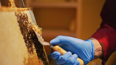 a beekeeper removes wax from honeycomb