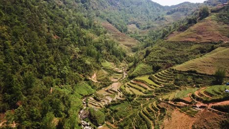 toma aérea de volar a través de un valle de campos de arroz que bordean las colinas en el sudeste asiático