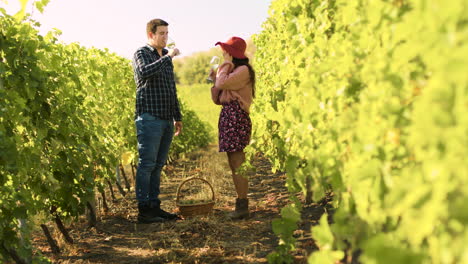 caucasian couple clinking glasses in a vineyard