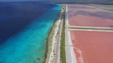 Die-Salinen-Von-Bonaire