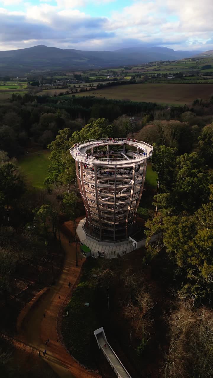 Beyond the Trees Avondale Co.Wicklow - Ireland - 4K Vertical Cinematic Drone Footage - 01