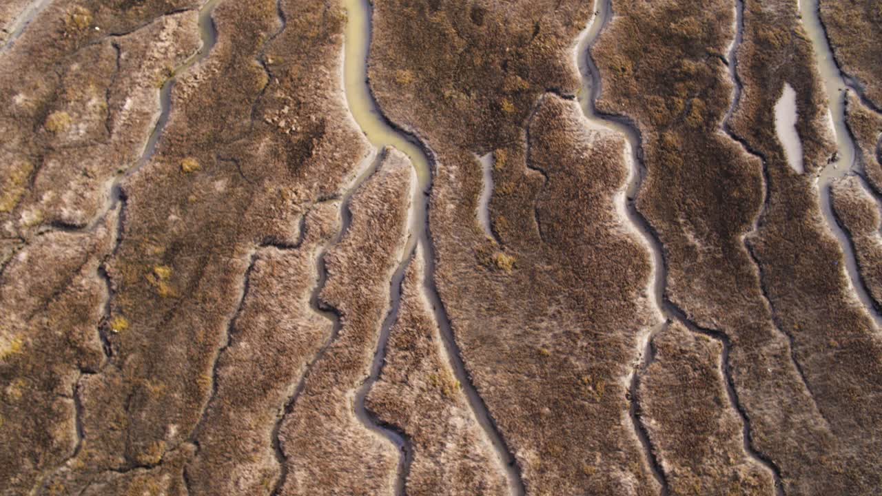 drone aéreo sobre el delta del río en los países bajos