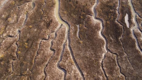 aerial drone over river delta in the netherlands