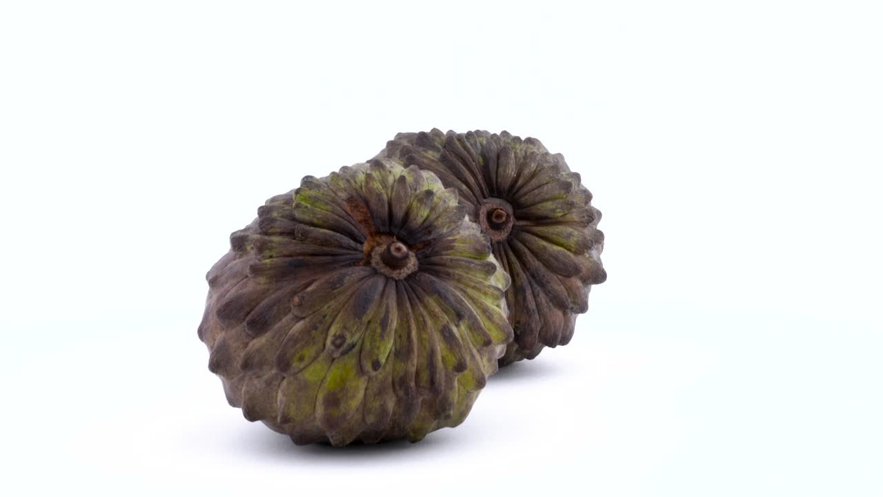 색 배경에 고립된 턴테이블 위에 두 개의 전체 익은 안노나 과일이 회전하고 있습니다.