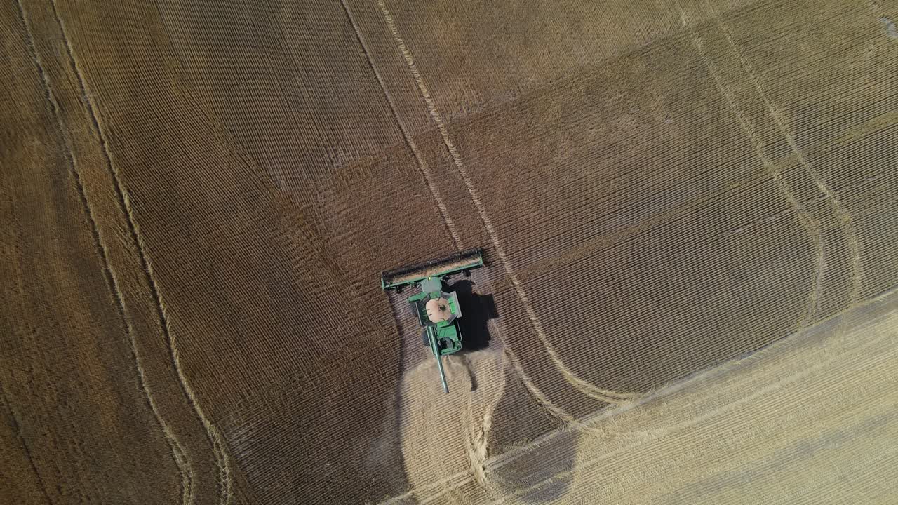 시골 농장에서 밀을 수확하는 결합 수확기