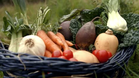 una canasta de verduras