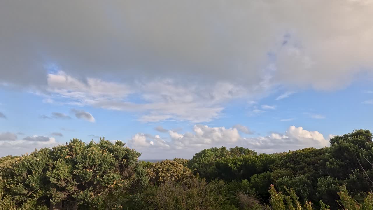 Lush greenery under a vast, cloudy sky