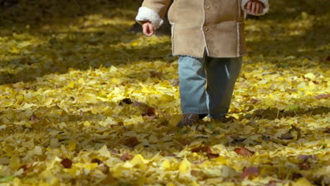 little kid walking on autumn golden fallen leaves in a park in slow motion