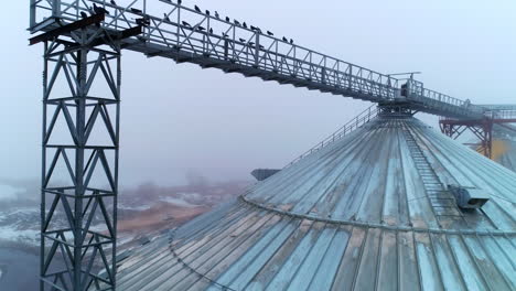 rising to the top of the huge granary bin. birds on the metal supports over the elevator tanks. winter foggy scenery at the backdrop.