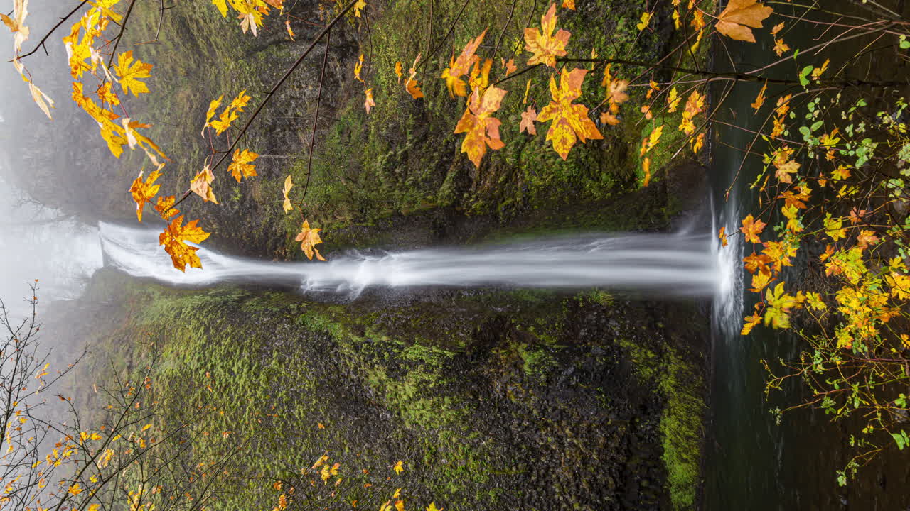 vista vertical de las cataratas de cola de caballo durante el otoño en multnomah, oregon, ee.uu.