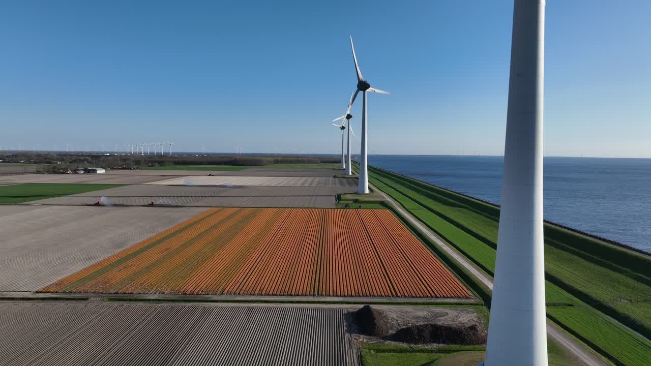 wind turbines, clean energy, blades spinning, amoung tulip fields. Aerial drone view.