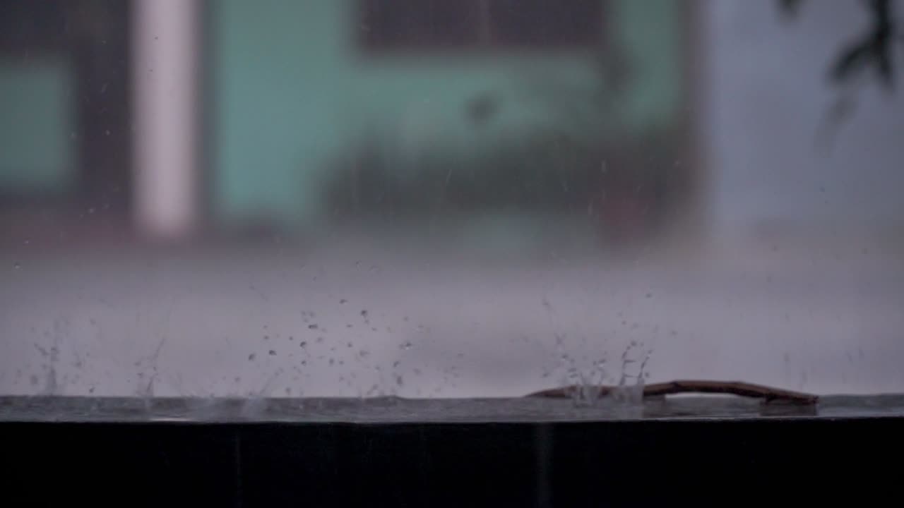 물이 떨어지고 웅이에 파동을 일으니다.