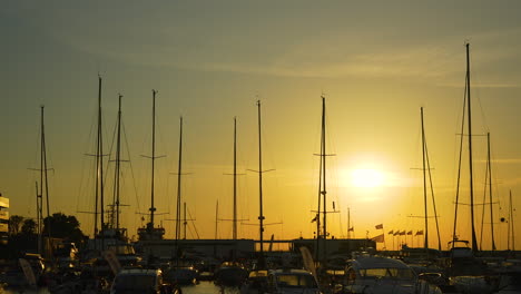 golden sunset illuminates a marina filled with moored sailboats, casting long shadows and a serene glow