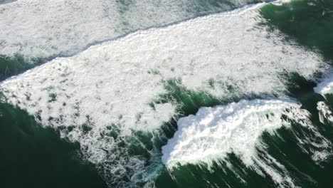 rompiendo las olas desde el punto de vista de los pájaros