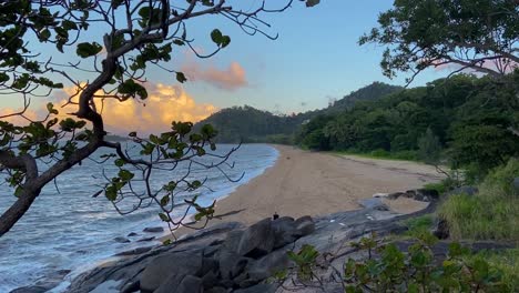 beautiful slider shot through the trees along a tranquil north queensland tropical beach at sunset