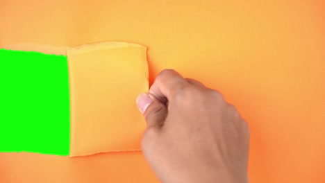 man hand tears a paper and reveal green background