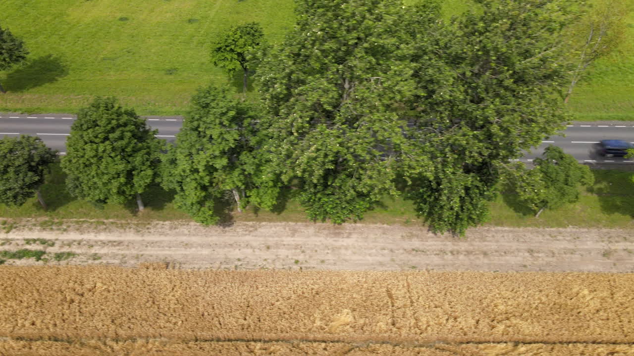 Farmland lines the roads near Mlynary, Poland. Harvesting barley crops