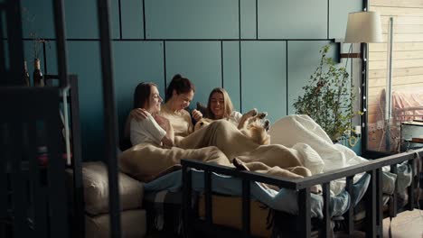 happy three girls are lying on the bed together with their big light-colored dog. communication and happy time together