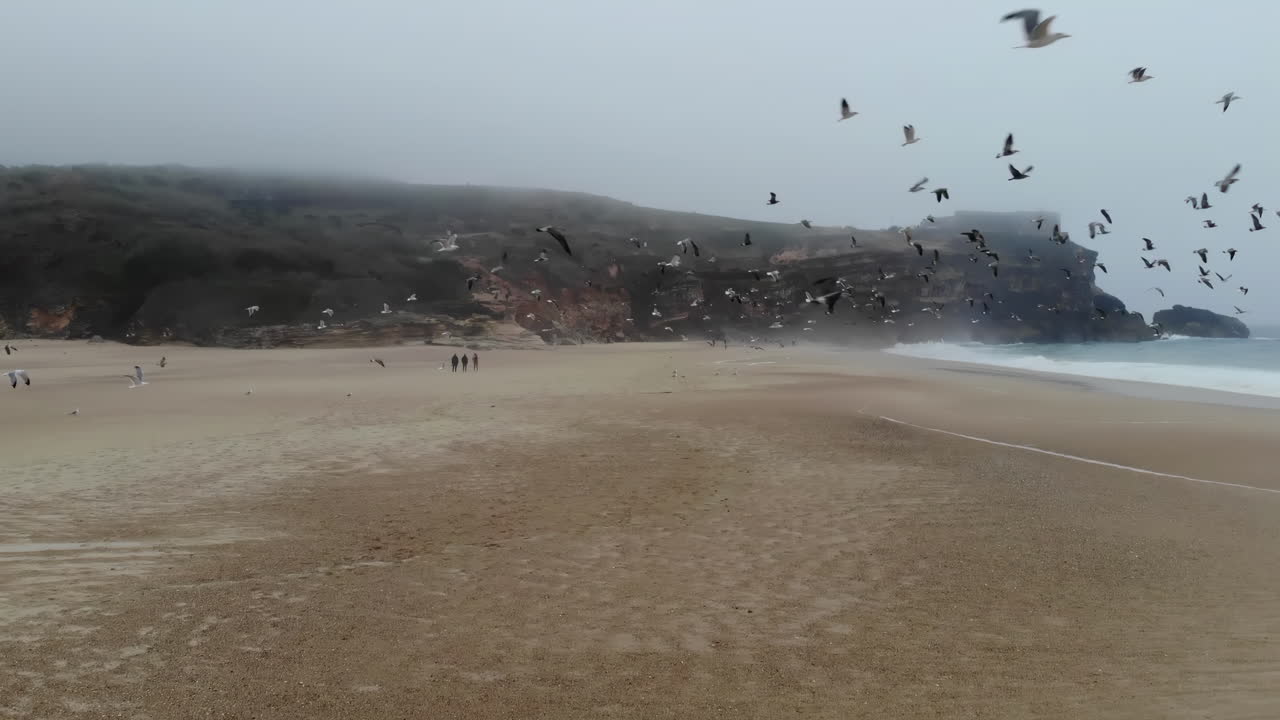 Drone view of waves hitting the shore on the beach with seagulls flying above it in Portugal