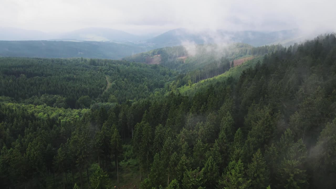 Аэросъемка горного лесного пейзажа