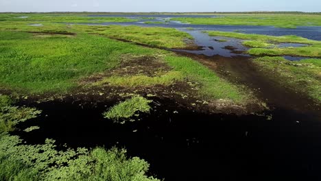 Marshland-along-the-Saint-John's-River-in-Cocoa,-Florida