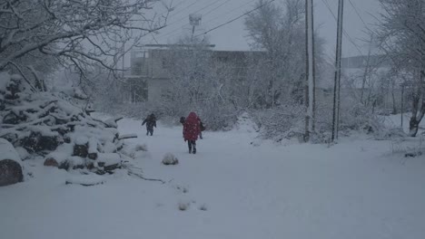 family running snowfall