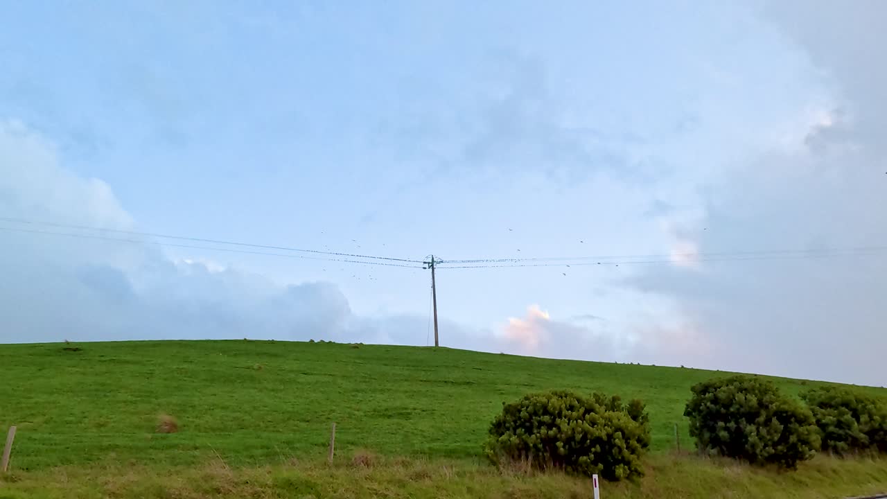 새와 전선이 있는 시골 풍경