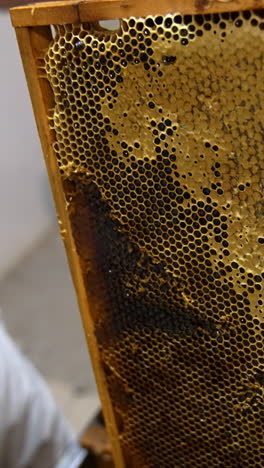 honey frame with half-sealed cells of healthy product. close up. electric knife is used to uncover honeycombs to extract honey. close up. vertical video